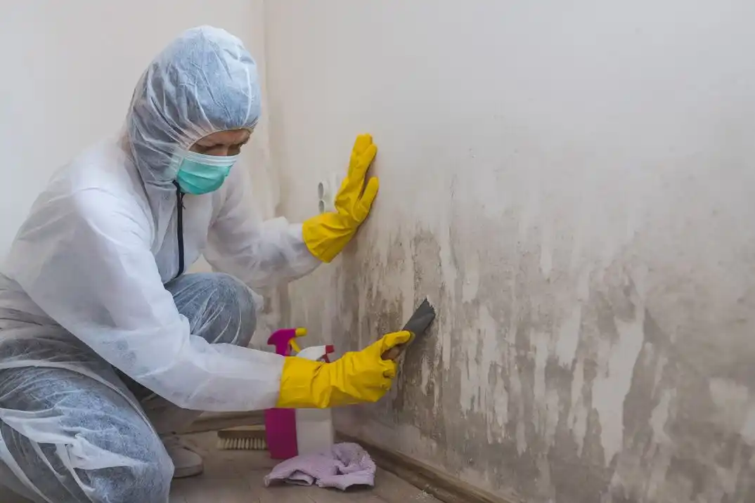water damage restoration service Shark River Hills